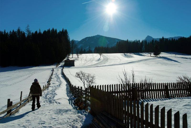 Alpengasthof Fichtenheim Hotel Ramsau am Dachstein Bagian luar foto
